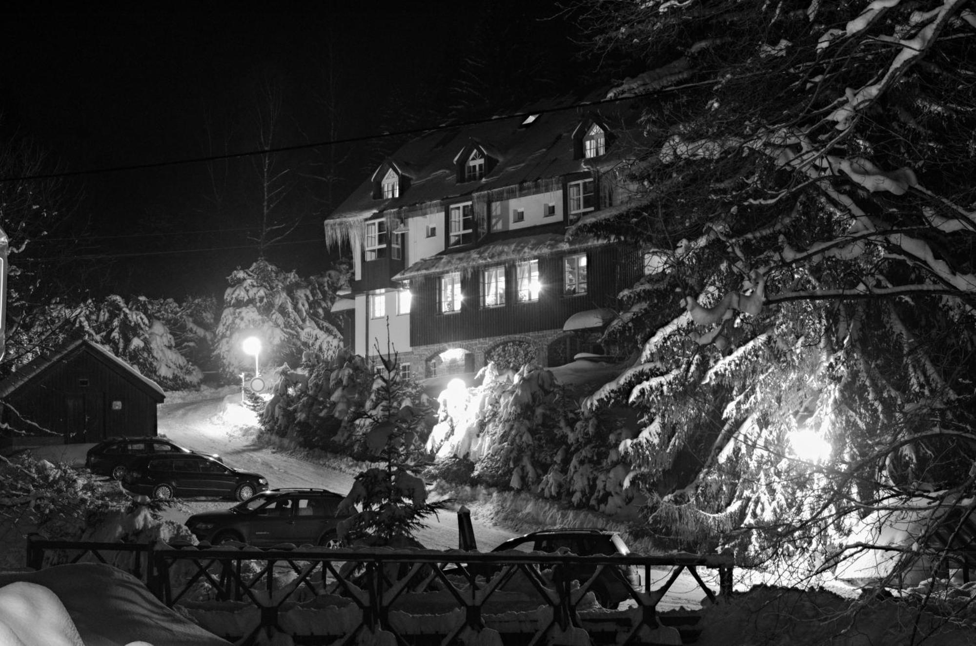Říčky Hotel Konsel מראה חיצוני תמונה